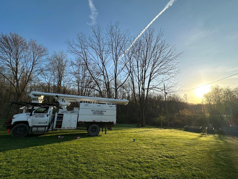 All Photos for Mad Tree Service in Cochranton, PA