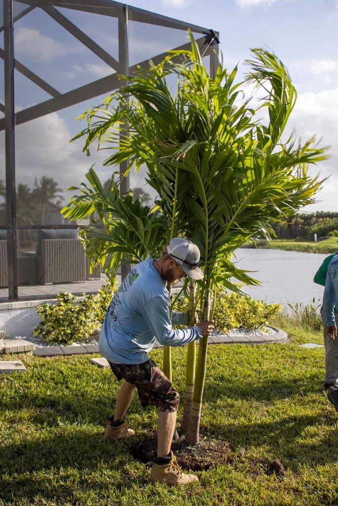 All Photos for Advanced Landscaping Solutions LLC in Fort Myers, FL