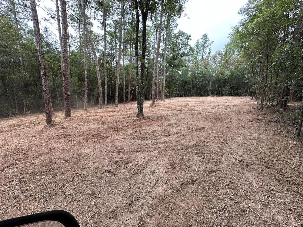 All Photos for White’s Land Maintenance in Milton,, FL