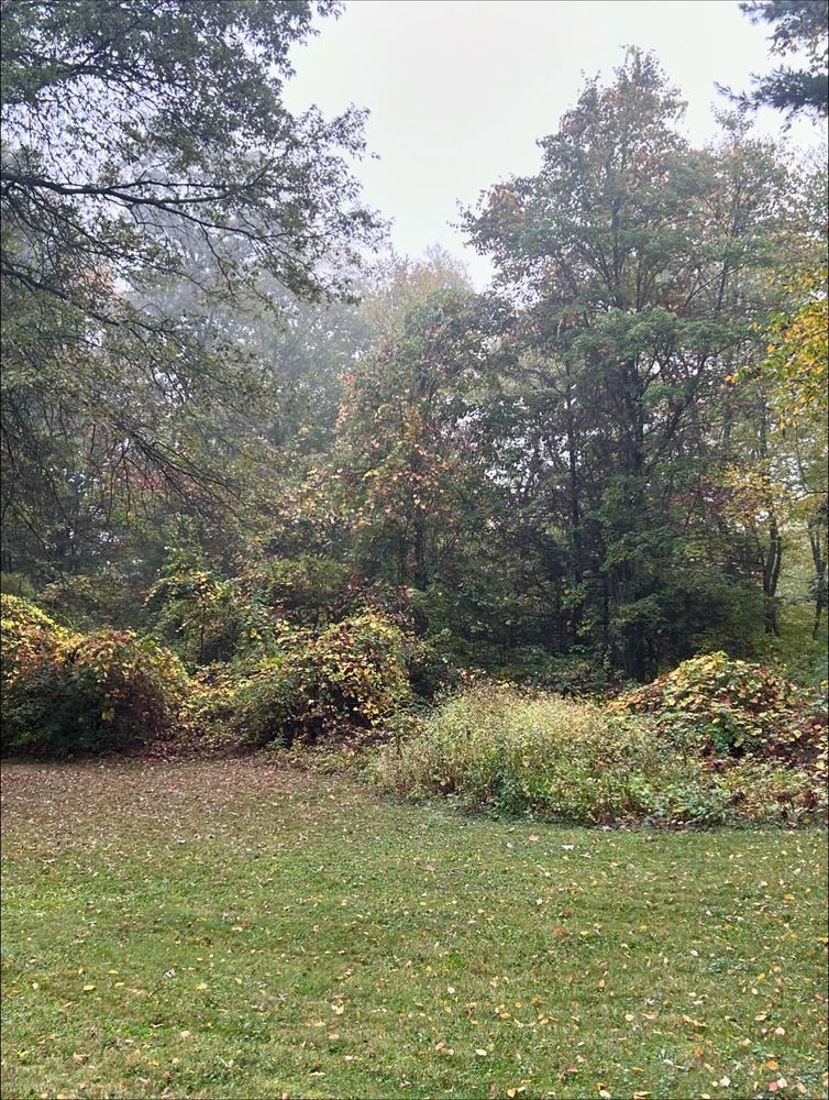 All Photos for Remington Construction in Suffield, CT