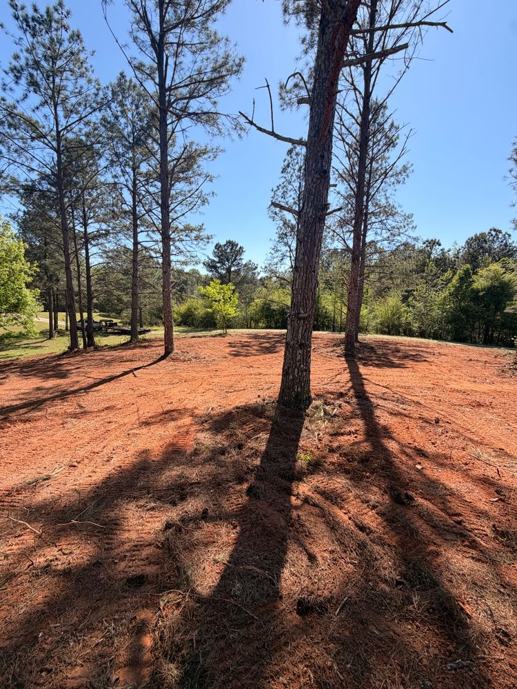 All Photos for Beauchamp Construction LLC in Athens, GA