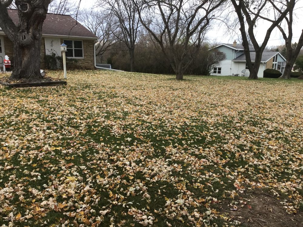 Fall Clean Ups for Picture Perfect Property Maintenance LLC in Milwaukee, WI