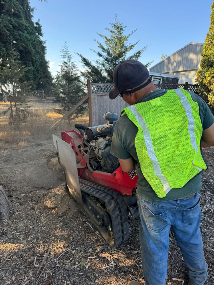 All Photos for Willamette Landscaping and Tree Services in Albany, OR