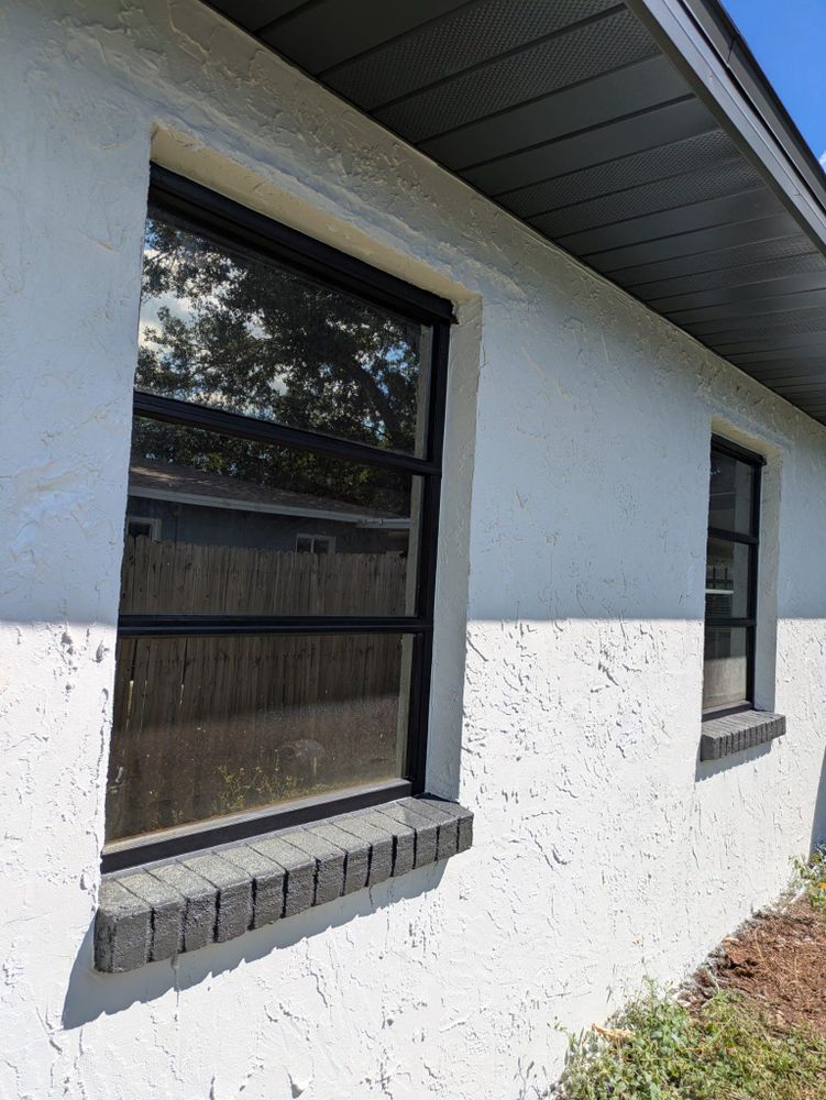 All Photos for Escorpio Painting in Tampa, FL