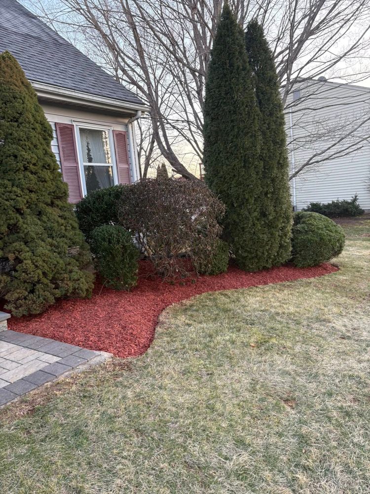 Hydroseeding for Chapman's Lawn & Landscape in Ellington, CT