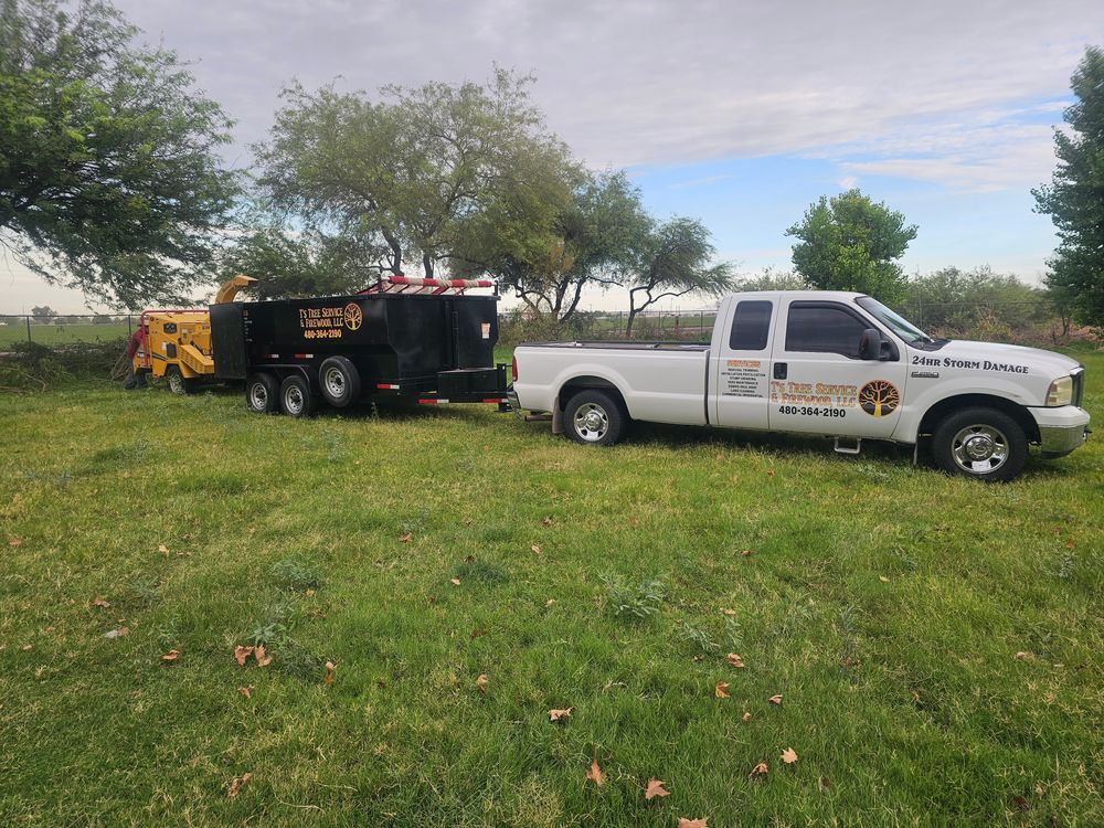 All Photos for T's Tree Service and Firewood in Apache Junction, AZ