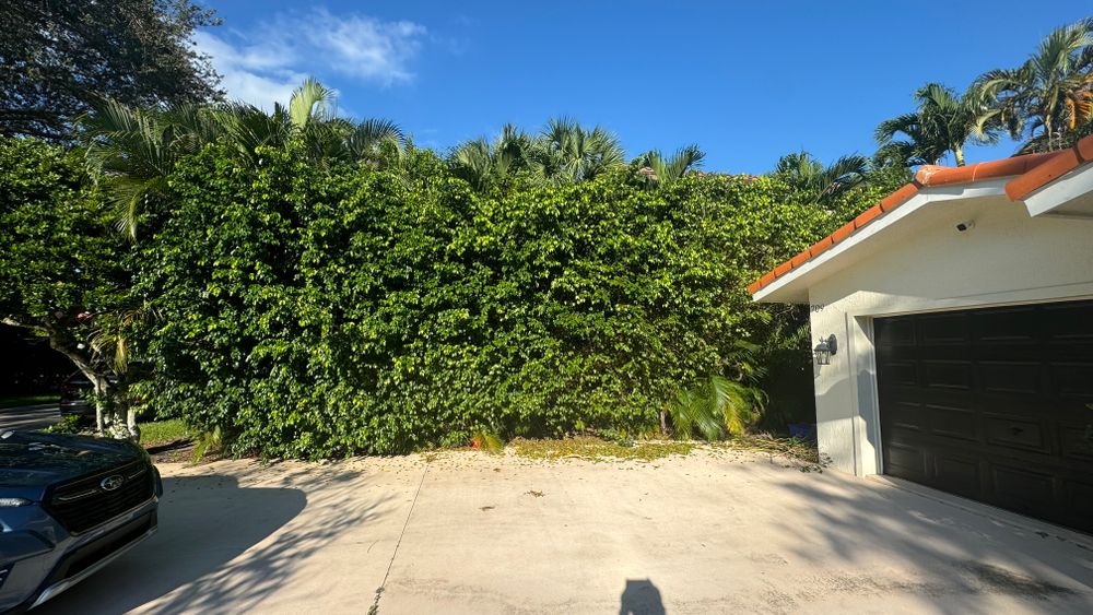 New Photo Uploads for South Florida Terra Systems in Boca Raton, FL