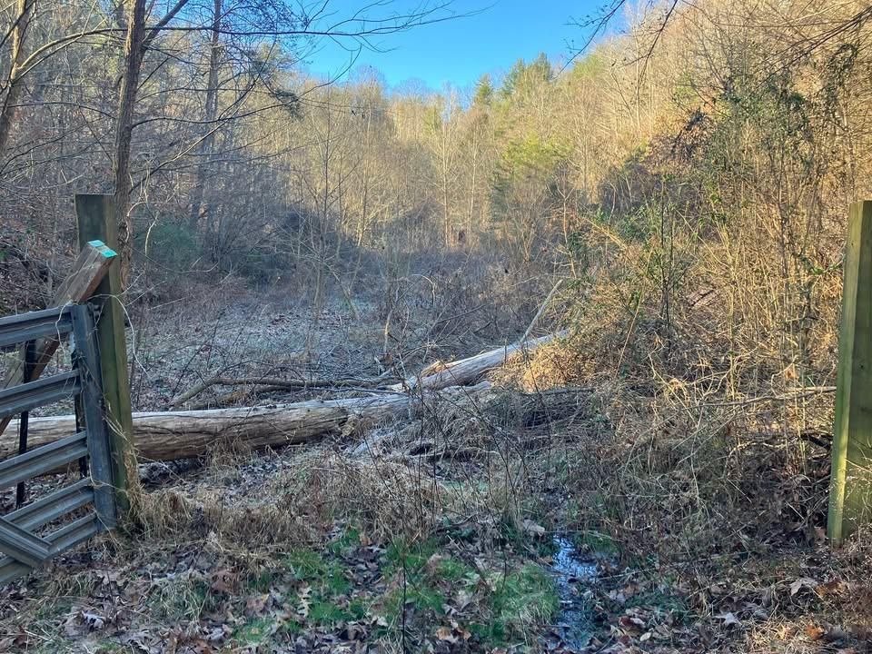 All Photos for Genesis Landworks in Bluff City, TN