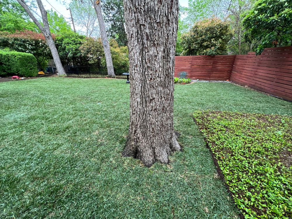 Lawn Care for Cortez Landscaping Services in Mesquite, TX