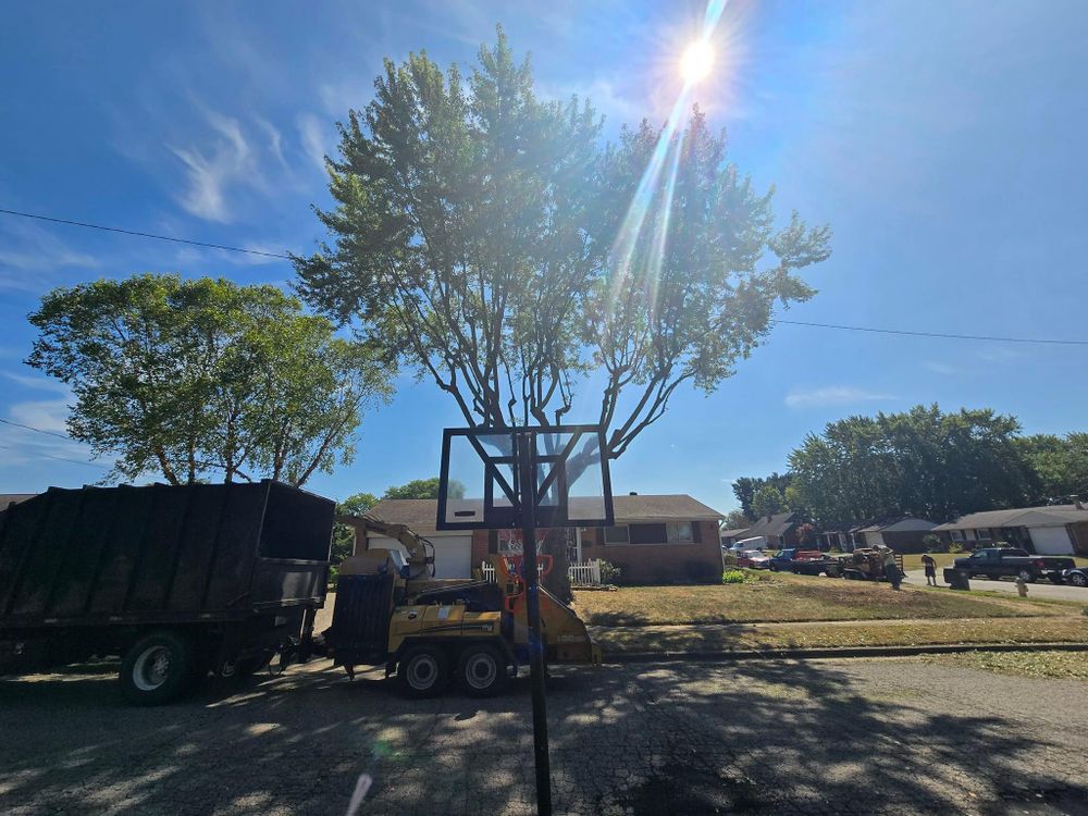 All Photos for F & F Tree Service in Beavercreek, OH