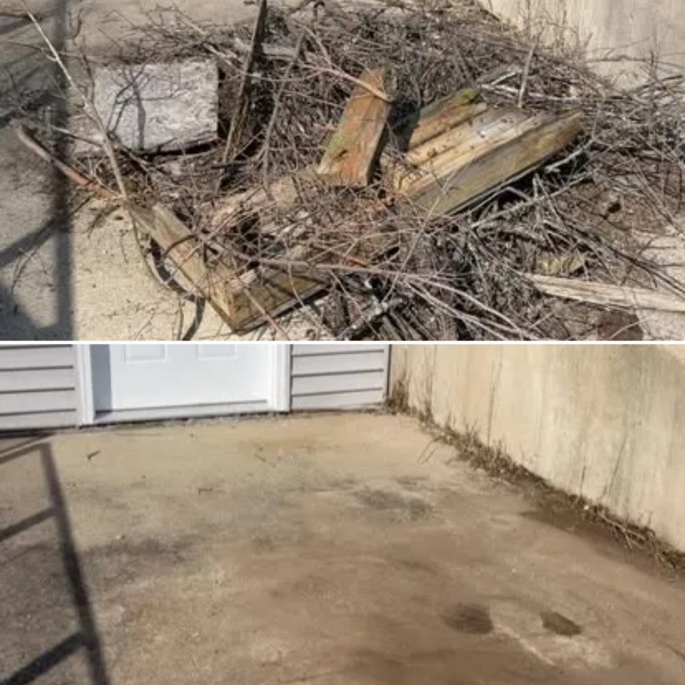 All Photos for Quick Removal Solutions in Grand Ledge, MI