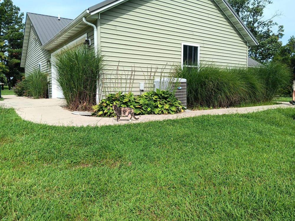 Tunnel's To Towers - ADA Compliant, Deck and Bath for Dead Tree General Contracting in Carbondale, Illinois