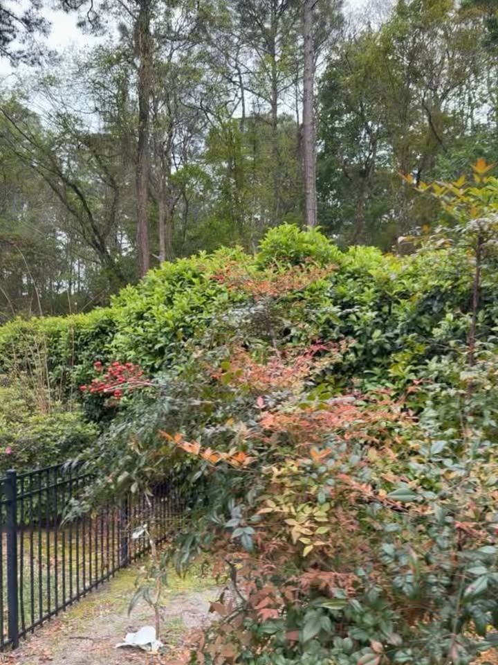 All Photos for Whole 9 Yards Services LLC in Green Cove Springs, FL