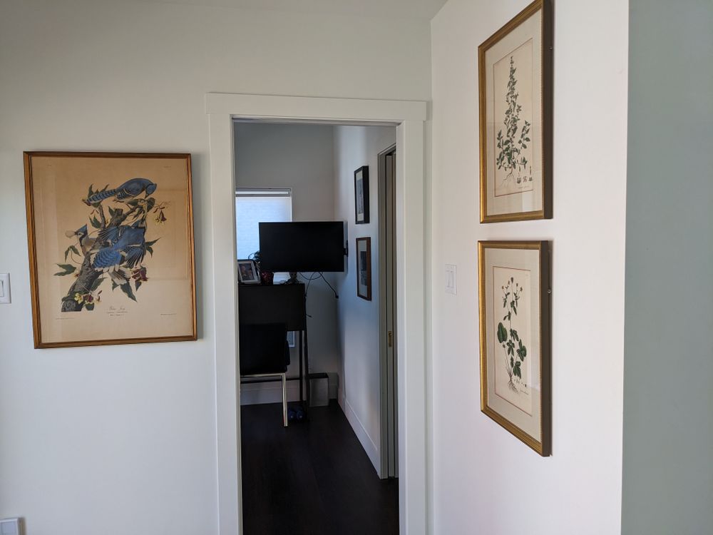 All Photos for Radiant Homes LLC in Fort Collins, CO