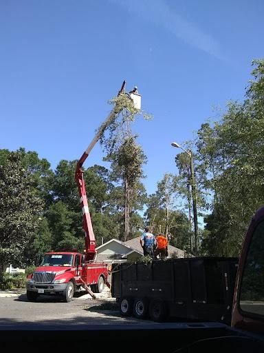 All Photos for Asbell's Tree & Land Services in Gilchrist County, FL