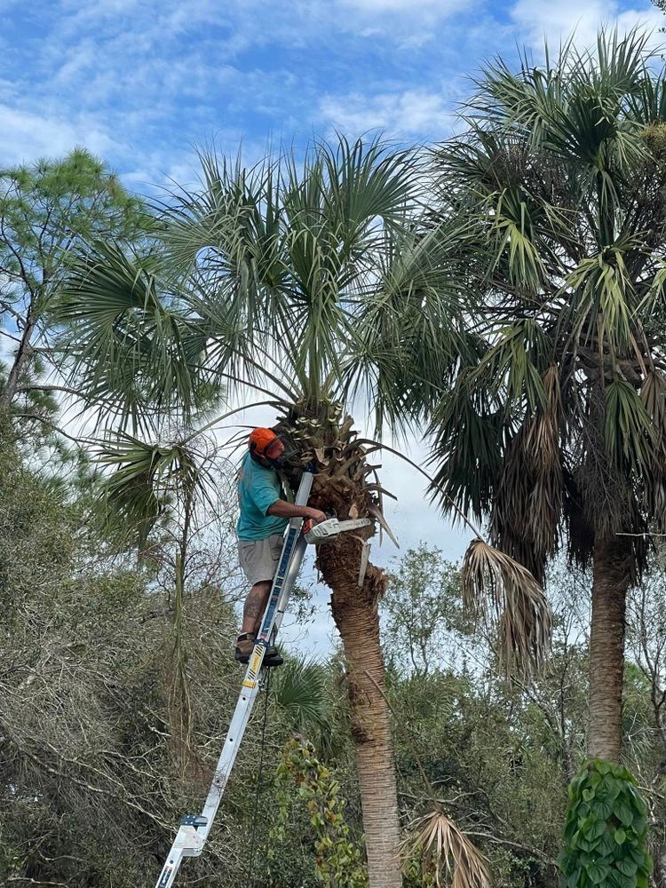 All Photos for Nick of Time Tree Service in North Port, FL