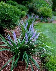 Landscaping for HT Outdoor Living in Freeport,  FL