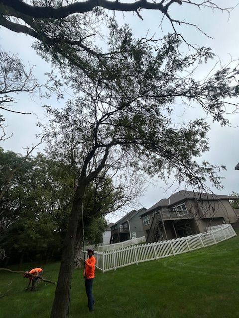 All Photos for Cross Family Tree Service in Kearney, MO