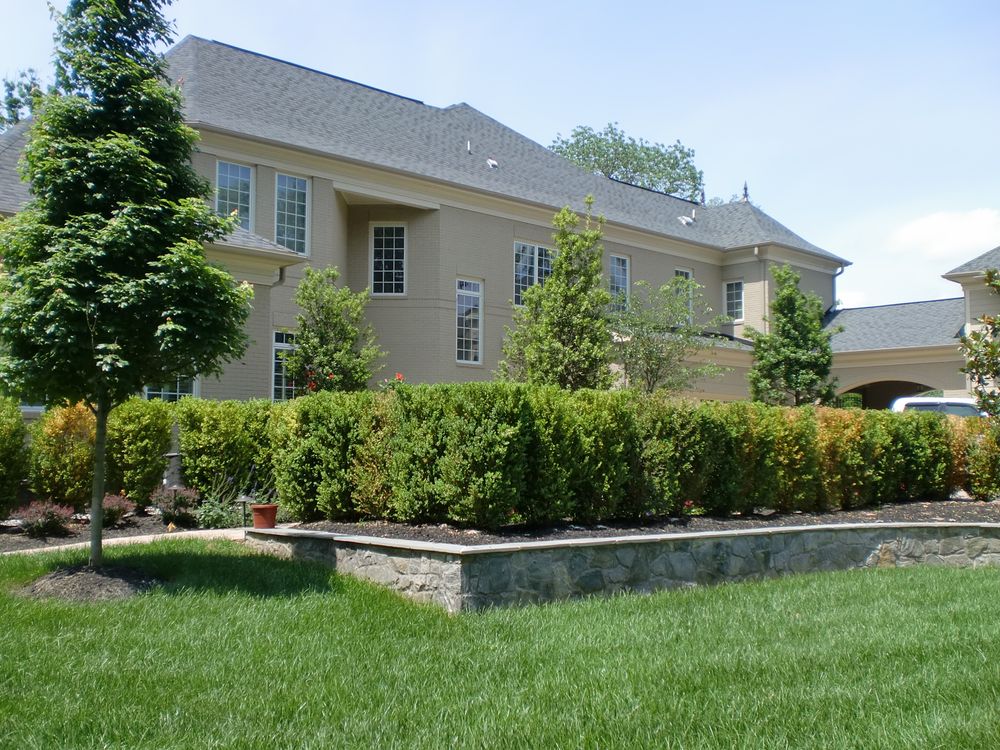 All Photos for M&M Lawn Care in Sterling, VA