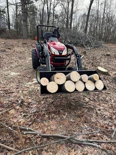 All Photos for Jills Stump Grinding and Firewood in Shelton, CT