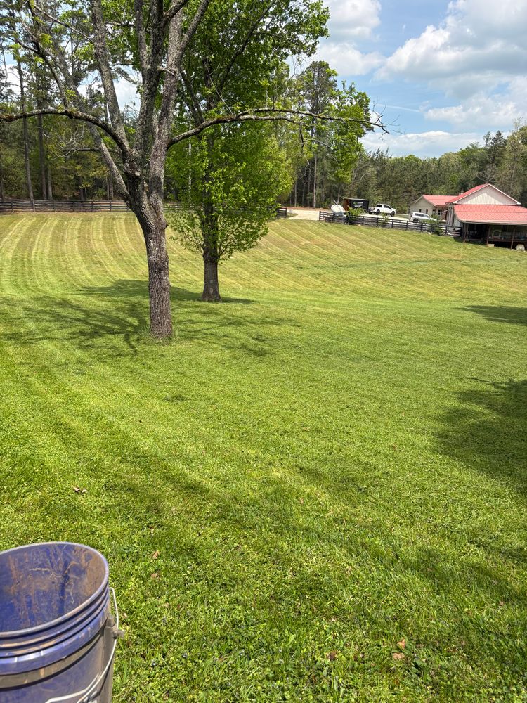 All Photos for Taylormade Lawn Management in Habersham County, GA