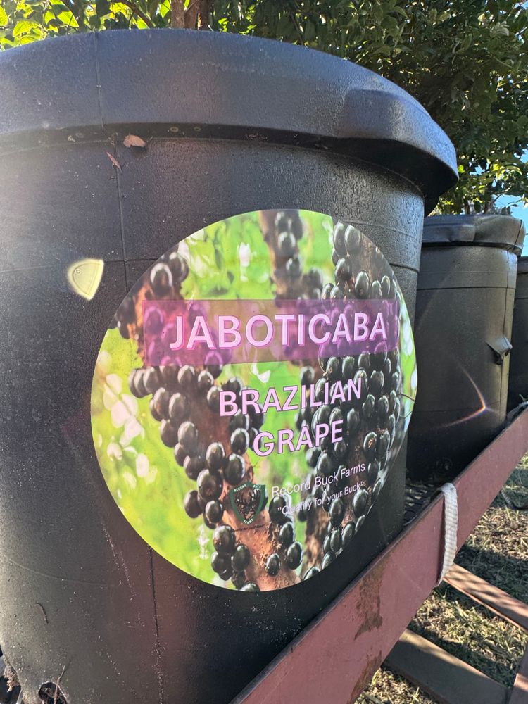 All Photos for Southern Roots Tree Farm in Crystal River, FL