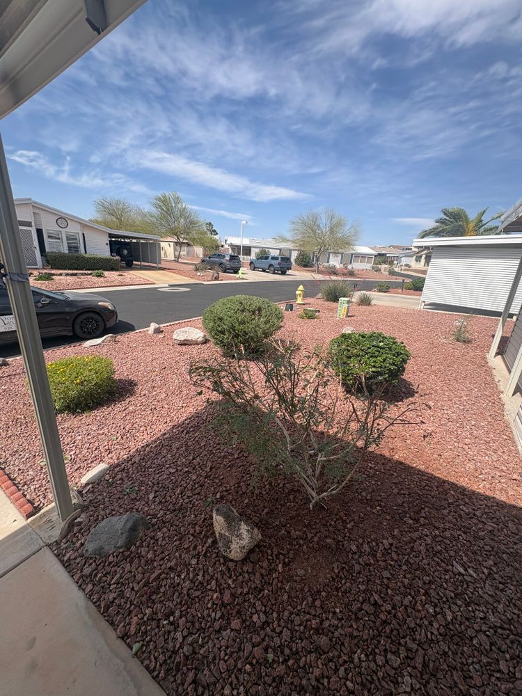 All Photos for Top Notch Landscape Services LLC in Mohave Valley, AZ