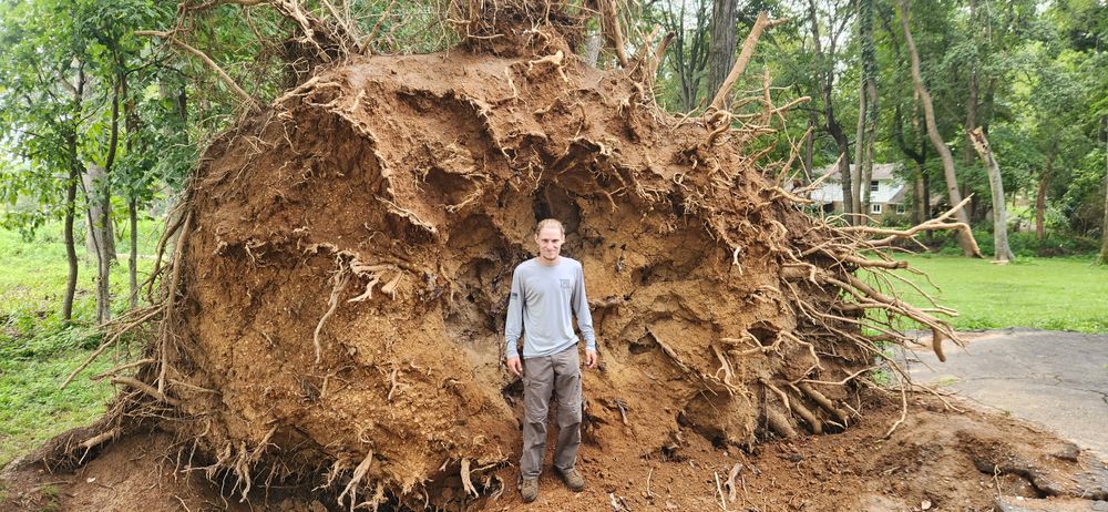 All Photos for Tree Fellers in Sumner County, TN