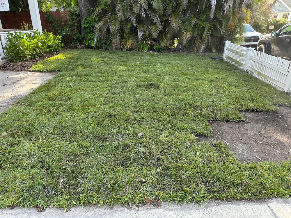 All Photos for Gulf Bay Sod in Clearwater, FL