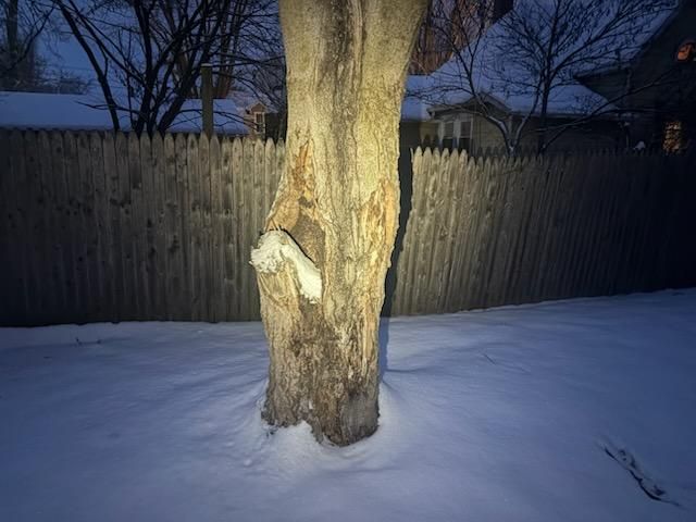 All Photos for Advanced Tree Solutions in Rockville, IN