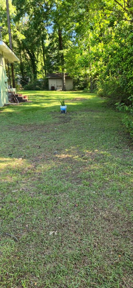 All Photos for Fresh Cut Yard & Lawn Care LLC in Forsyth, GA
