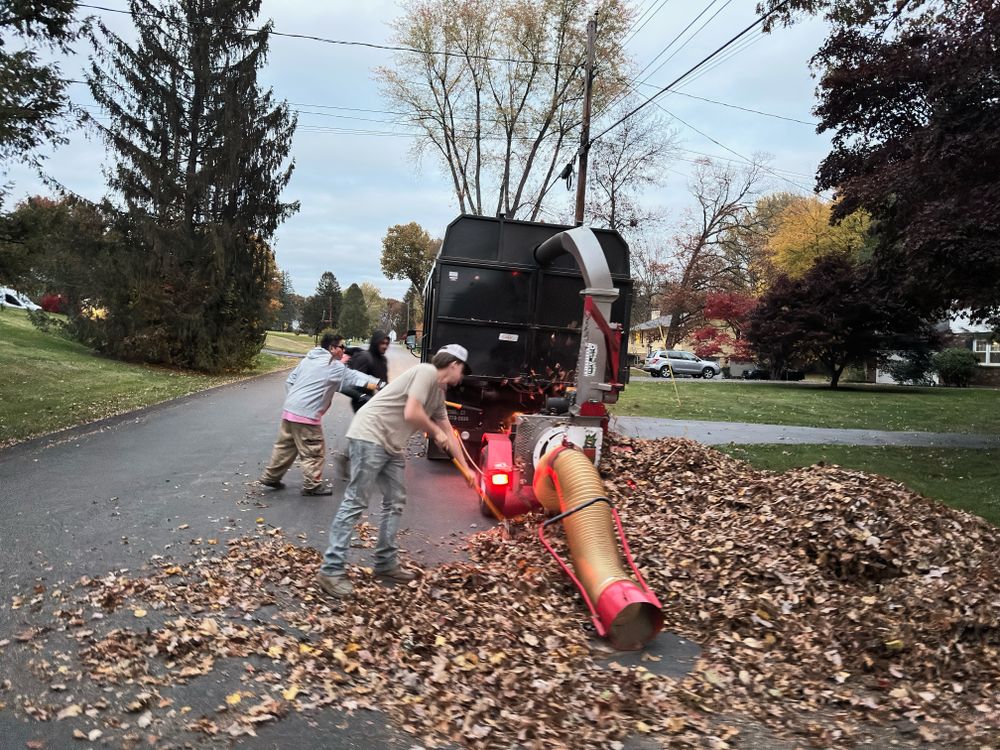 Fall cleanup for Quiet Acres Landscaping in Dutchess County, NY