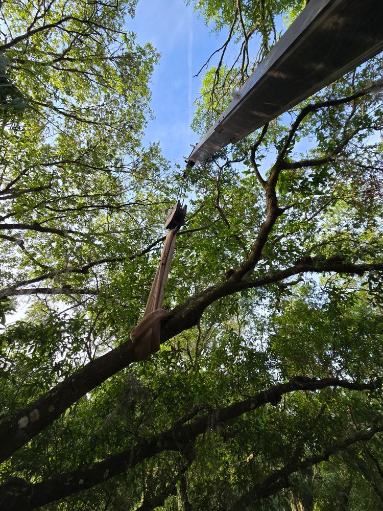 All Photos for Near Me Tree Service, Inc. in DeLand, FL