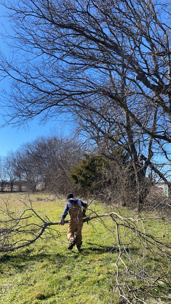 Hector’s Tree Services team in Nocona, TX - people or person