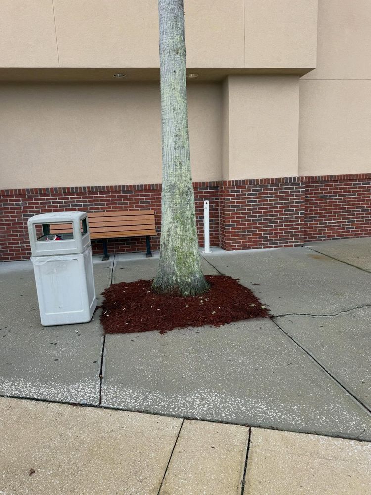 All Photos for Whole 9 Yards Services LLC in Green Cove Springs, FL