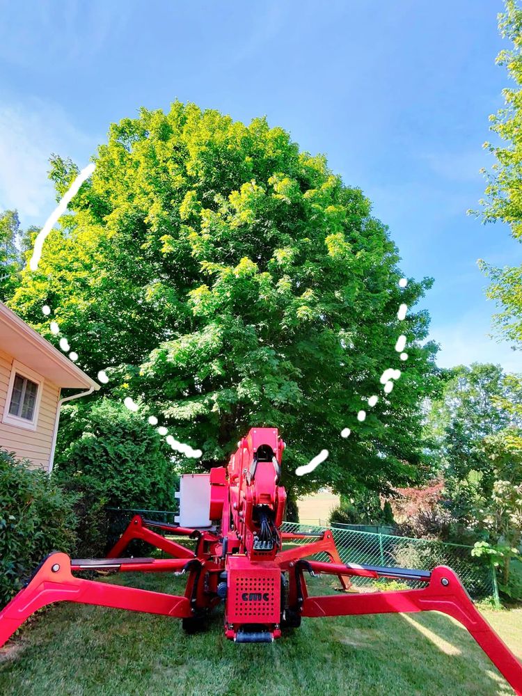 All Photos for F & F Tree Service in Beavercreek, OH