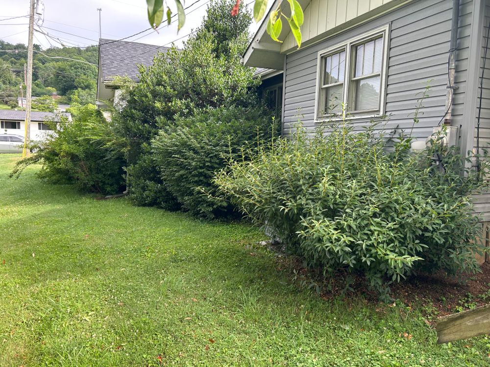 All Photos for Gatrell Landscape & Tree Removal in Bluff City, TN
