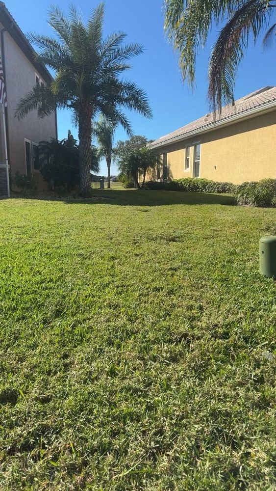 All Photos for Space Coast Property Maintenance and Management LLC in Brevard County, FL