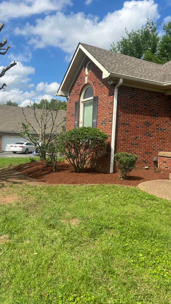 All Photos for Optimum Tree Service And Landscaping in Bowling Green, KY