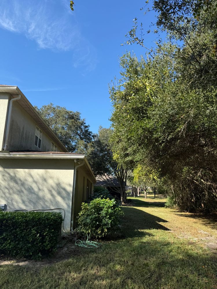 All Photos for Amerigrown Tree And Lawn in Apopka, FL