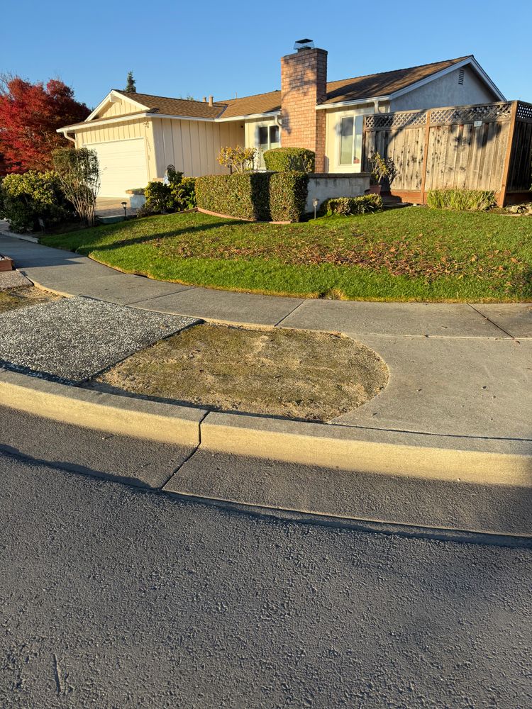All Photos for CBA Landscaping in Hayward, CA