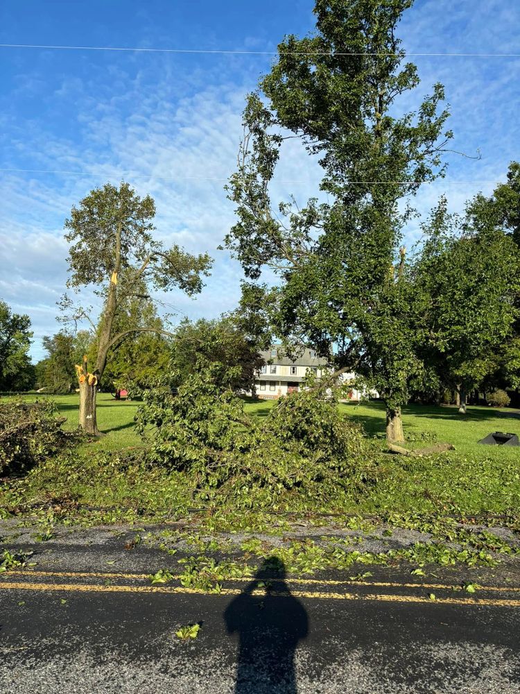 Our expert Tree Removal service ensures safe, efficient removal of unwanted or hazardous trees, enhancing your property's beauty and safety while minimizing disruption to your landscape. Trust us for professional results. for Melnyk’s Tree Service in Salem County, NJ