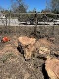 All Photos for Oviedo Land & Garden in Bastrop, TX