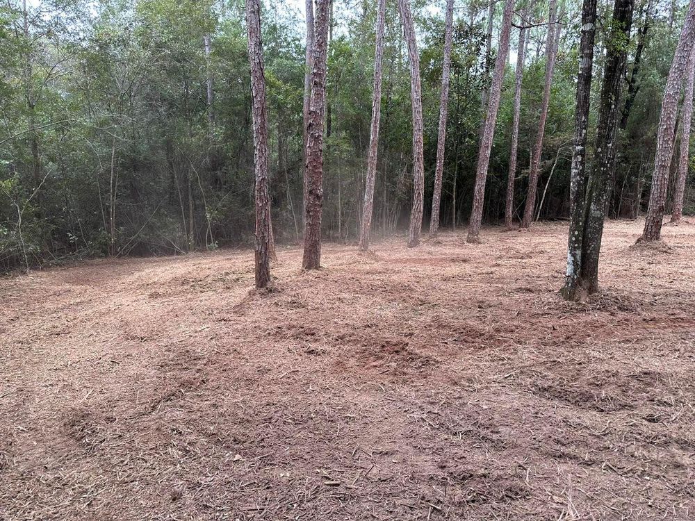 All Photos for White’s Land Maintenance in Milton,, FL