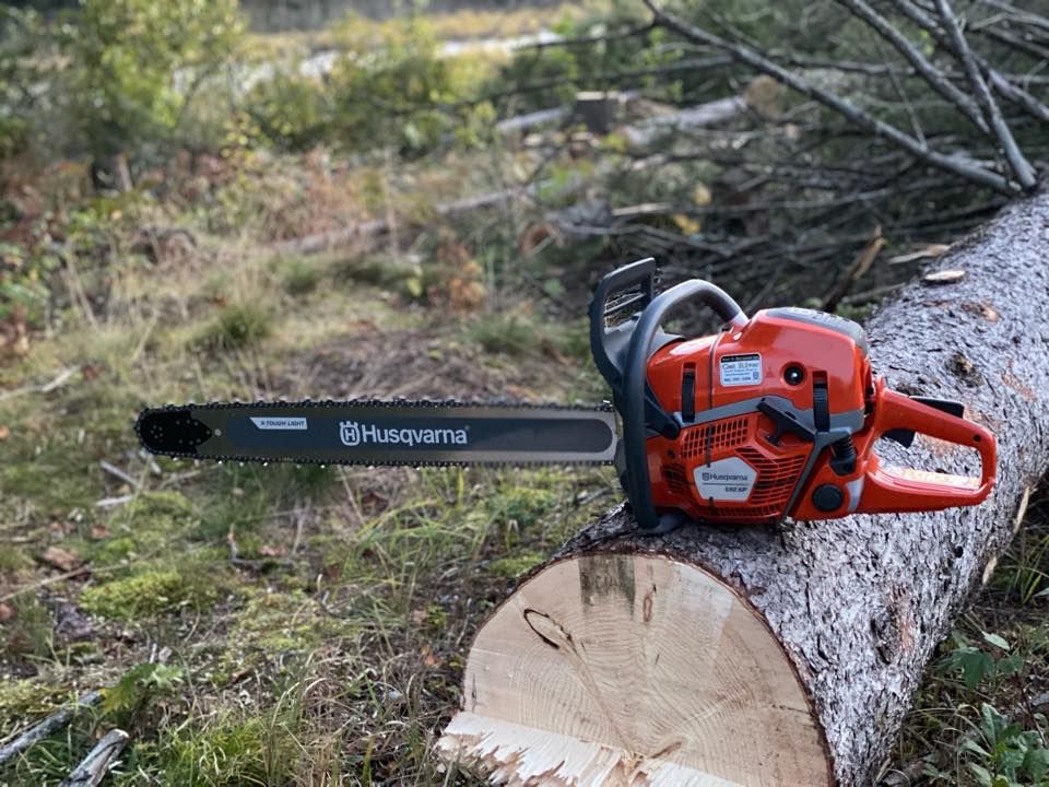 All Photos for Bear Creek Tree Service LLC in Rudyard, MI