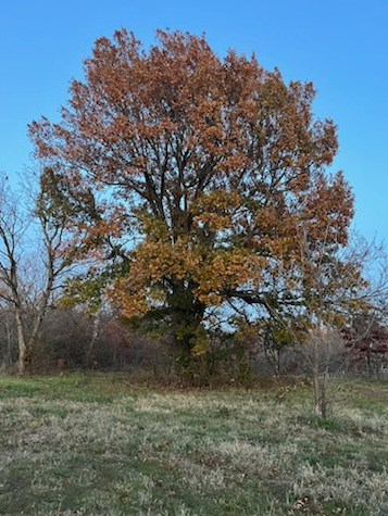 All Photos for Isaiah 43 Ranch in Northeast Oklahoma , OK