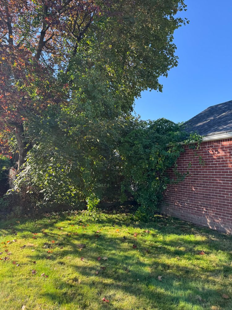 All Photos for Adams Landscaping in Springfield, MA