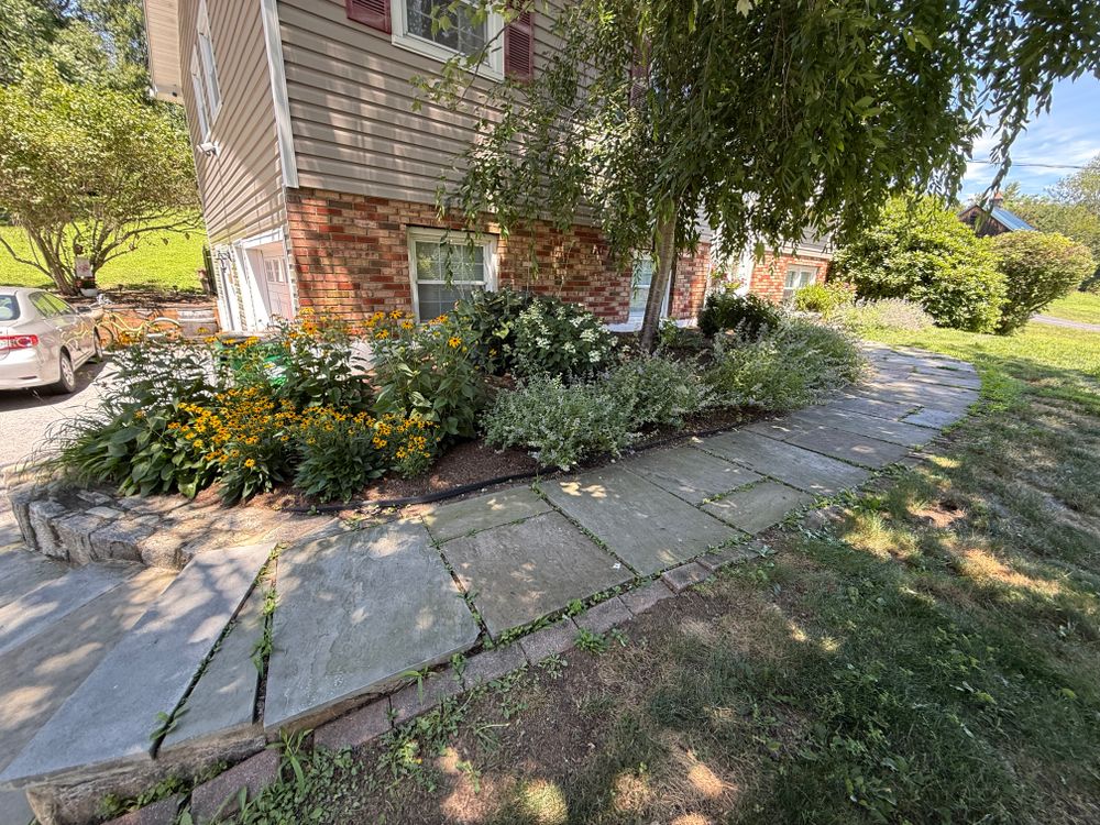 All Photos for Ardisi Property Maintenance LLC in Poughkeepsie, NY 