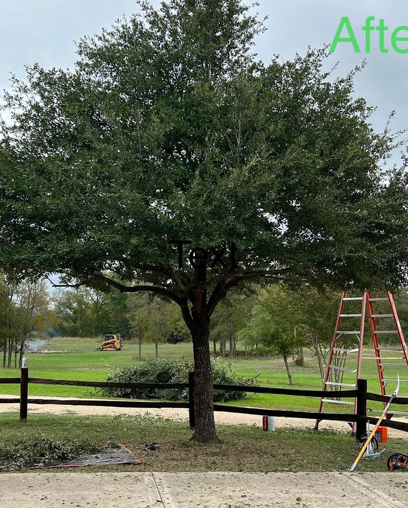 All Photos for Green Turf Landscaping in Kyle, TX