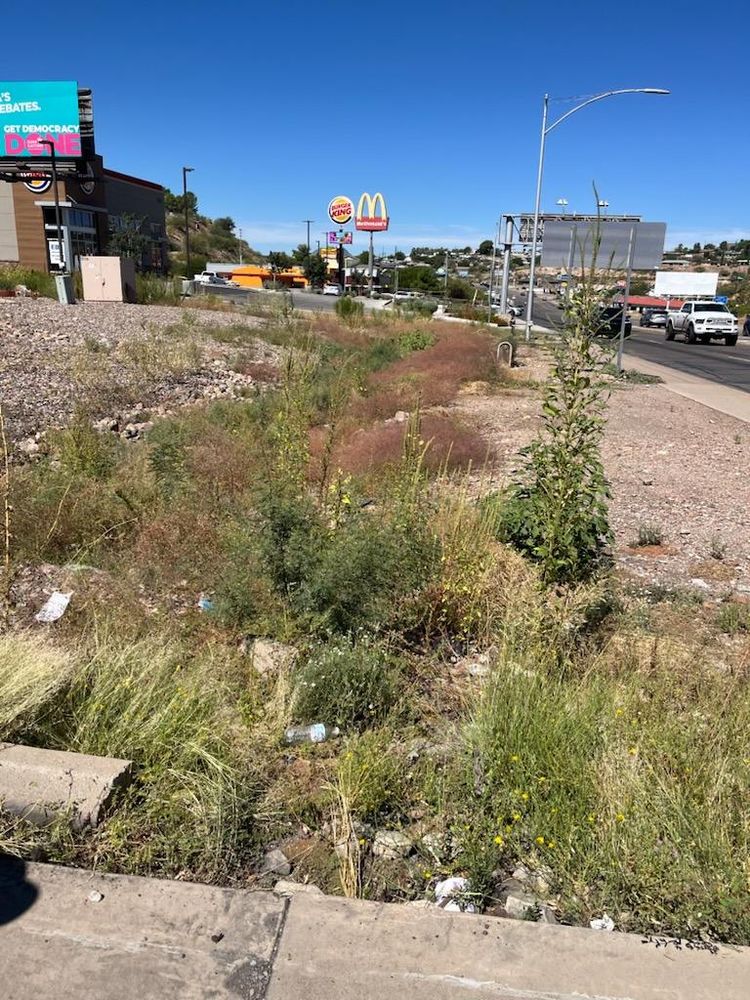 All Photos for Tidy Up Landscape and Design in Chandler, AZ